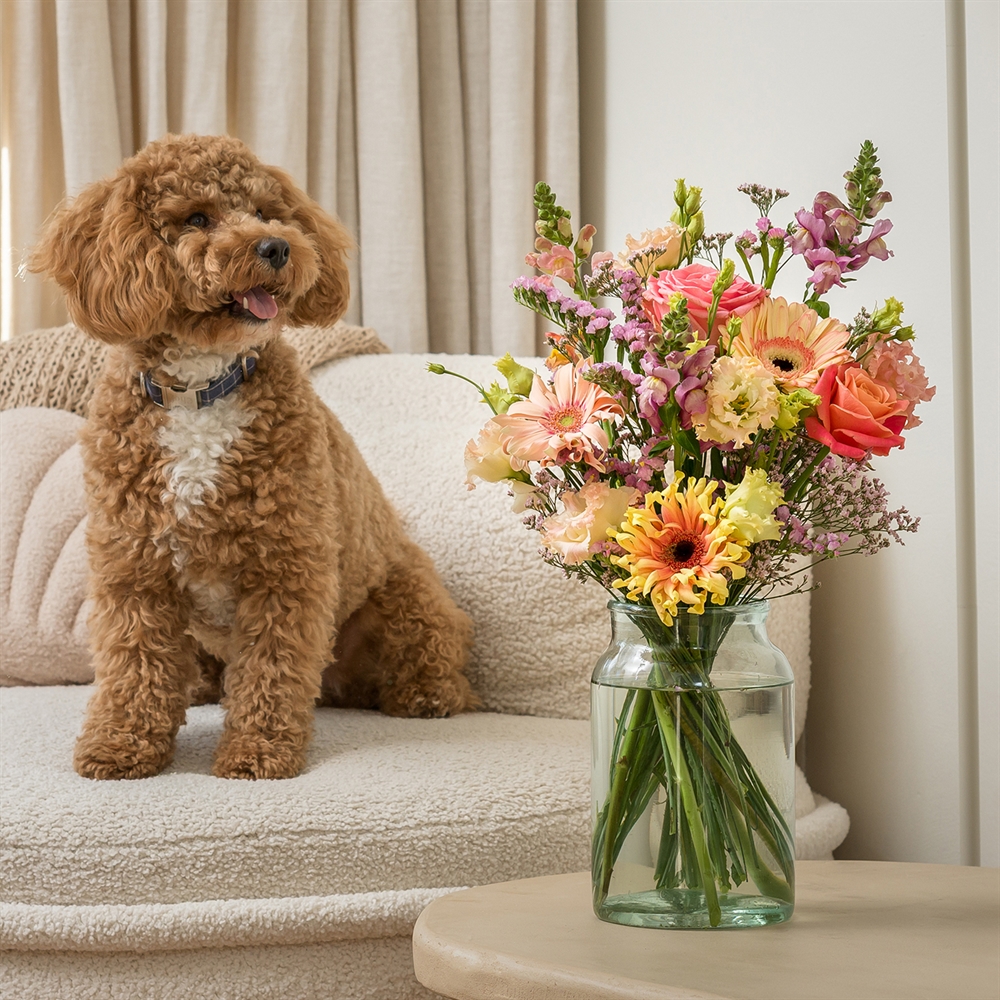 Huisdiervriendelijk boeket